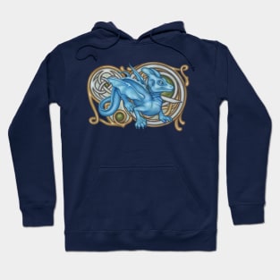 Draco Dragon Hoodie